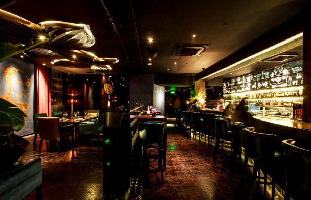 VIP Area and Bar Counter Towards the Washroom Direction