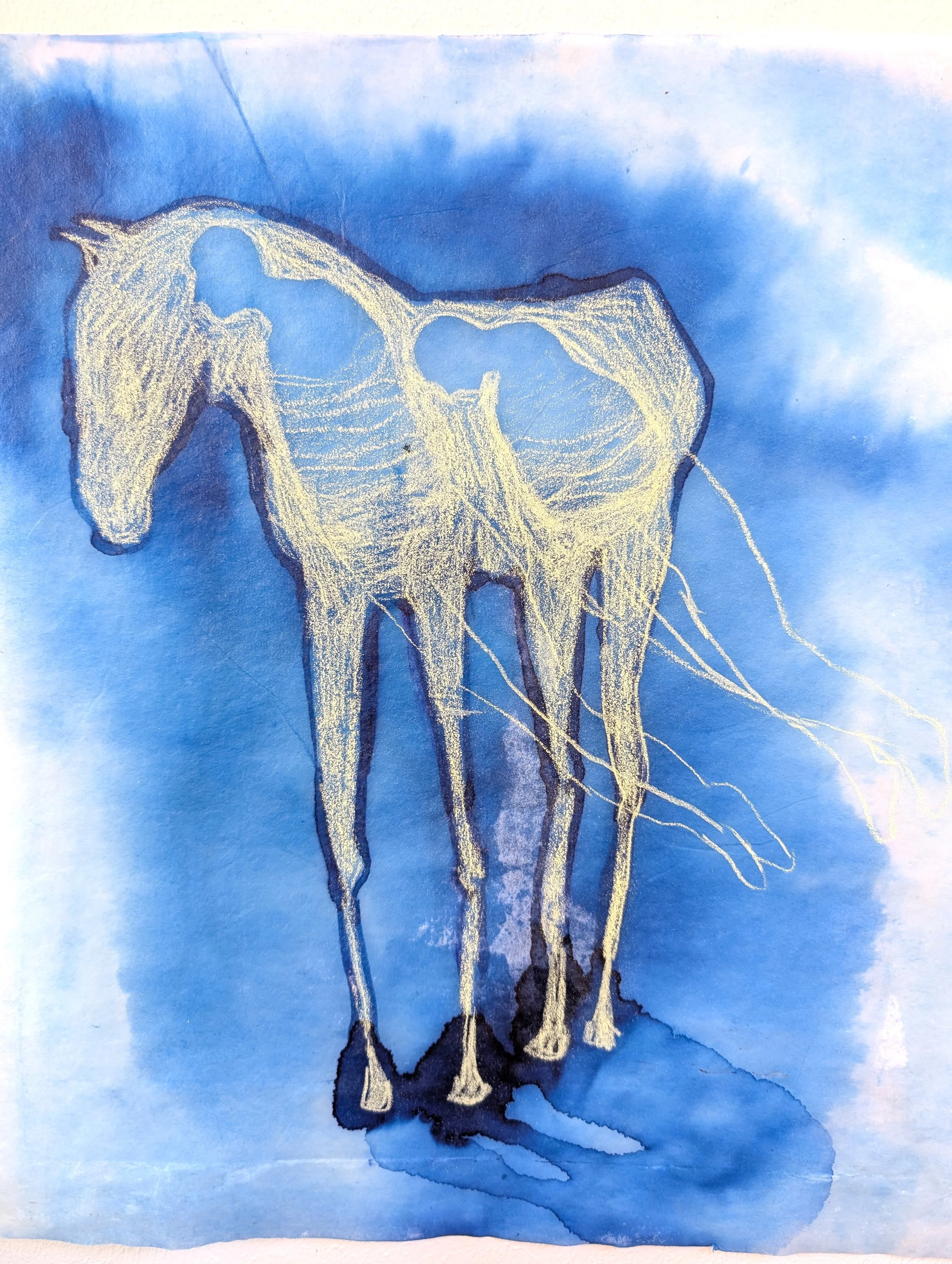 het paard van sophie.jpg