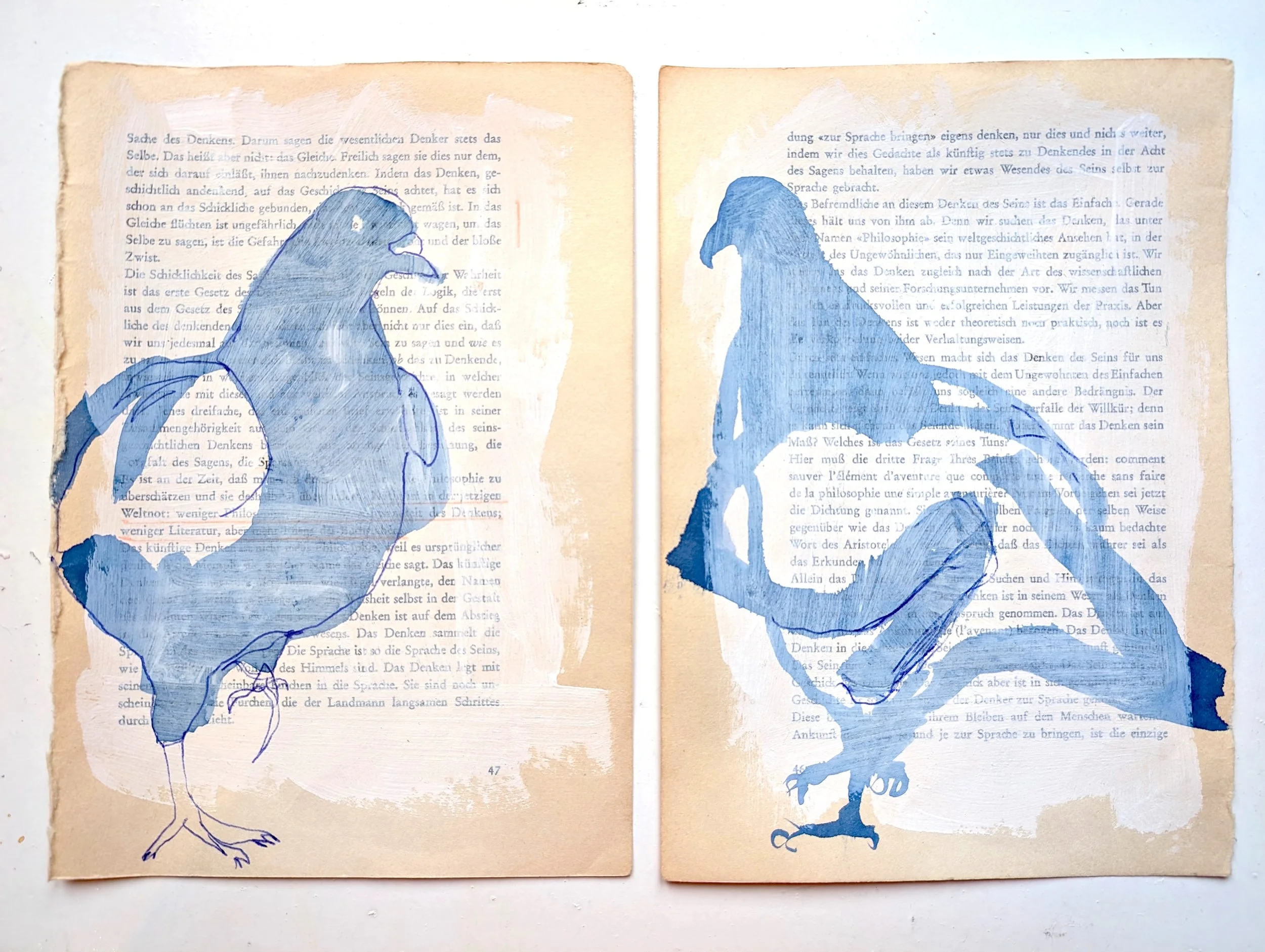 duiven op zoek naar vrede.jpg