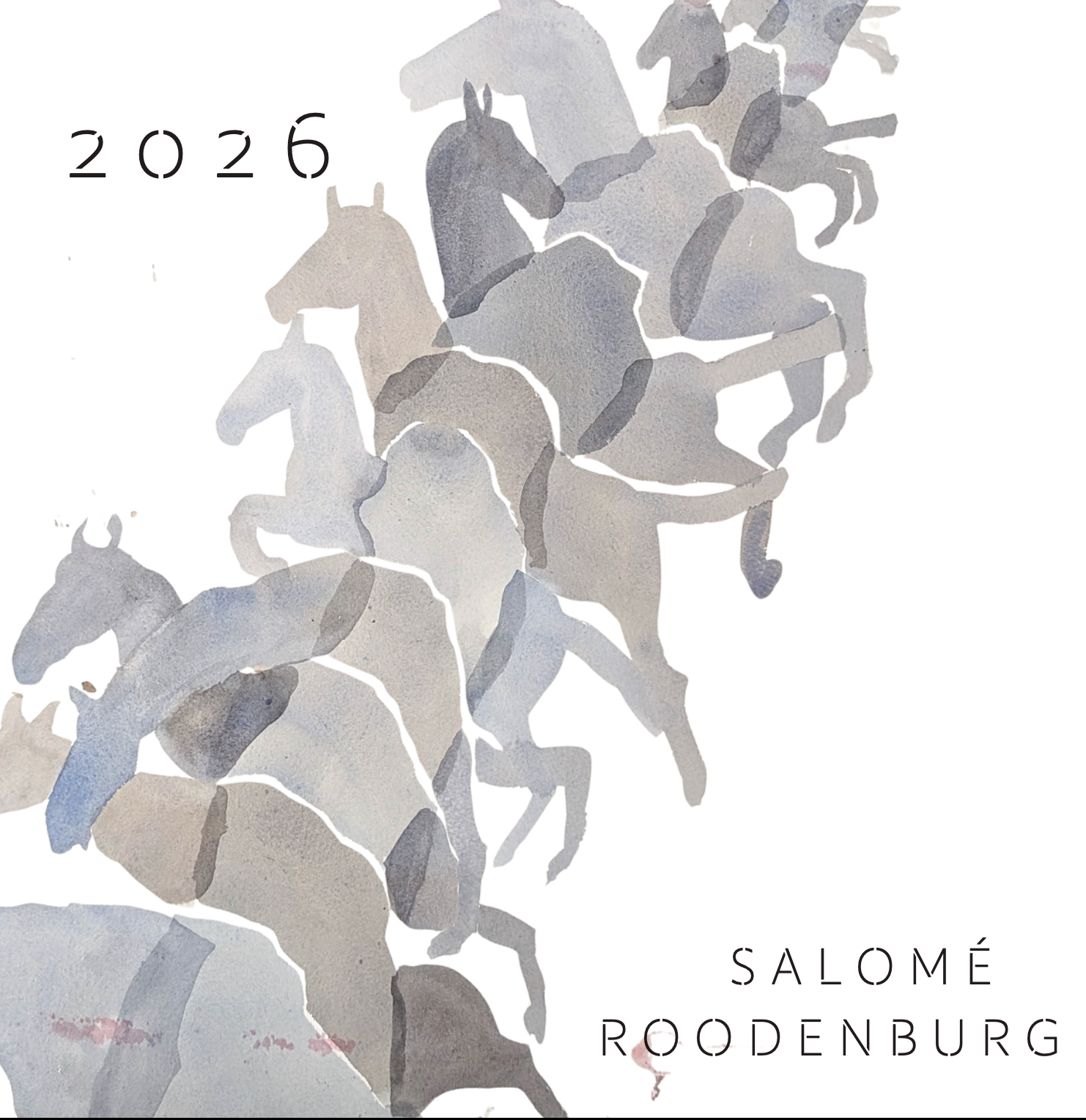 Schermafbeelding 2025-12-15 om 11.50.47.png
