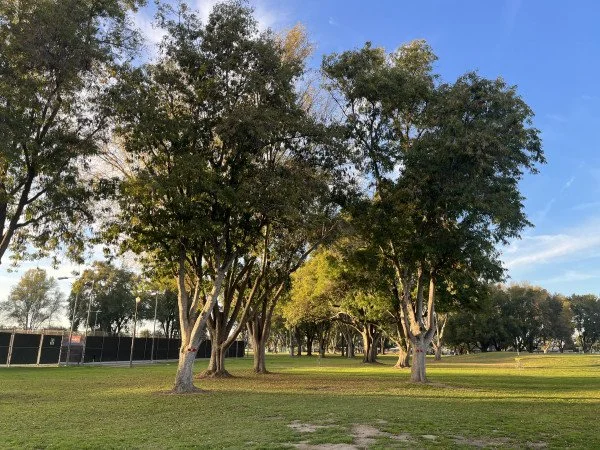 El Dorado Summer Series