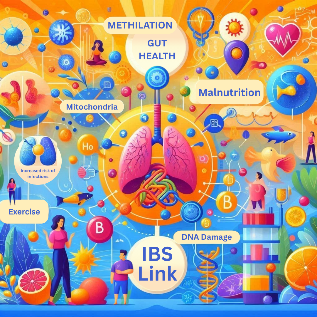 The Missing Link in IBS: How Methylation, Mitochondria, and B Vitamins Shape Your Gut Health