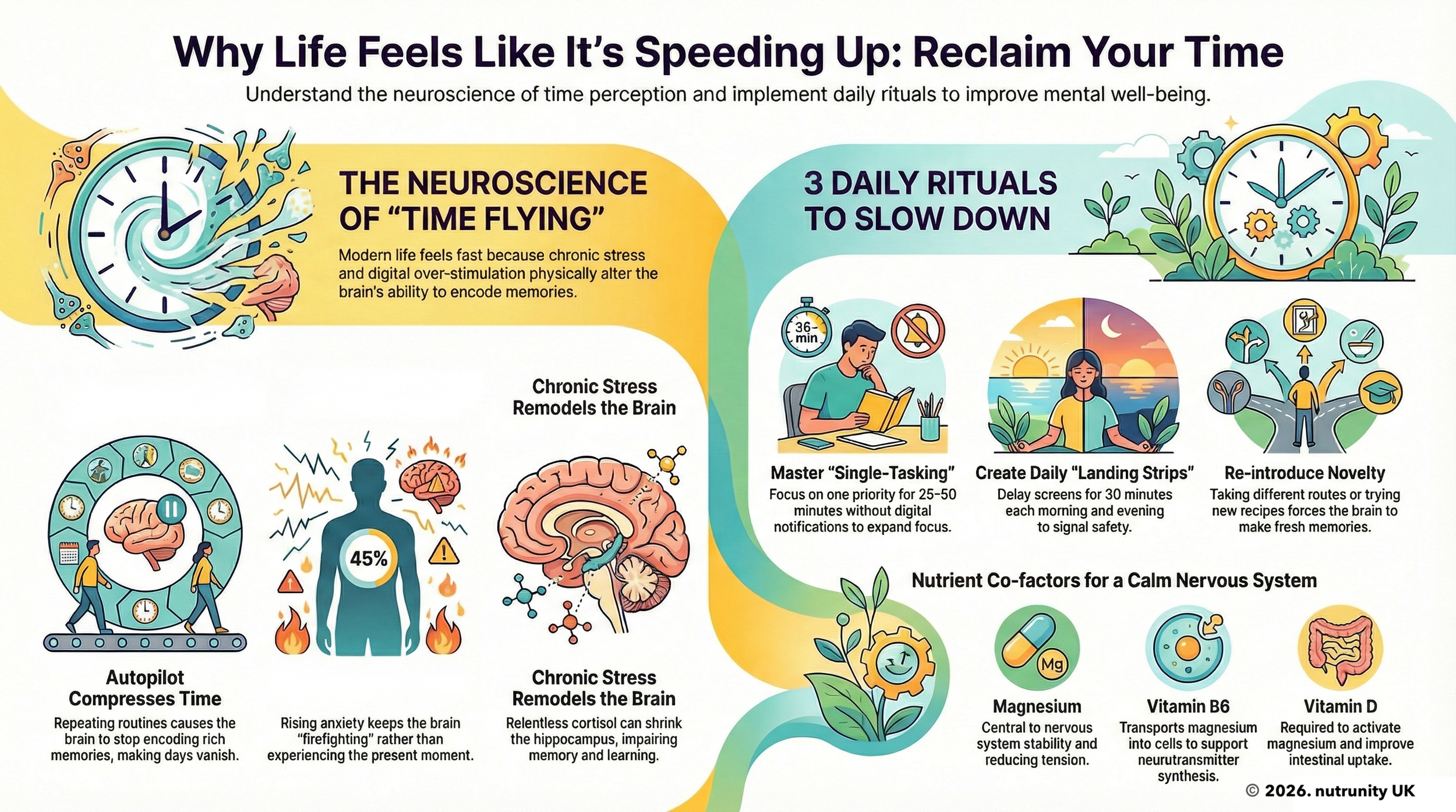 Why Life Feels Like It’s Speeding Up: 8 Daily Rituals to Feel Truly Alive Again