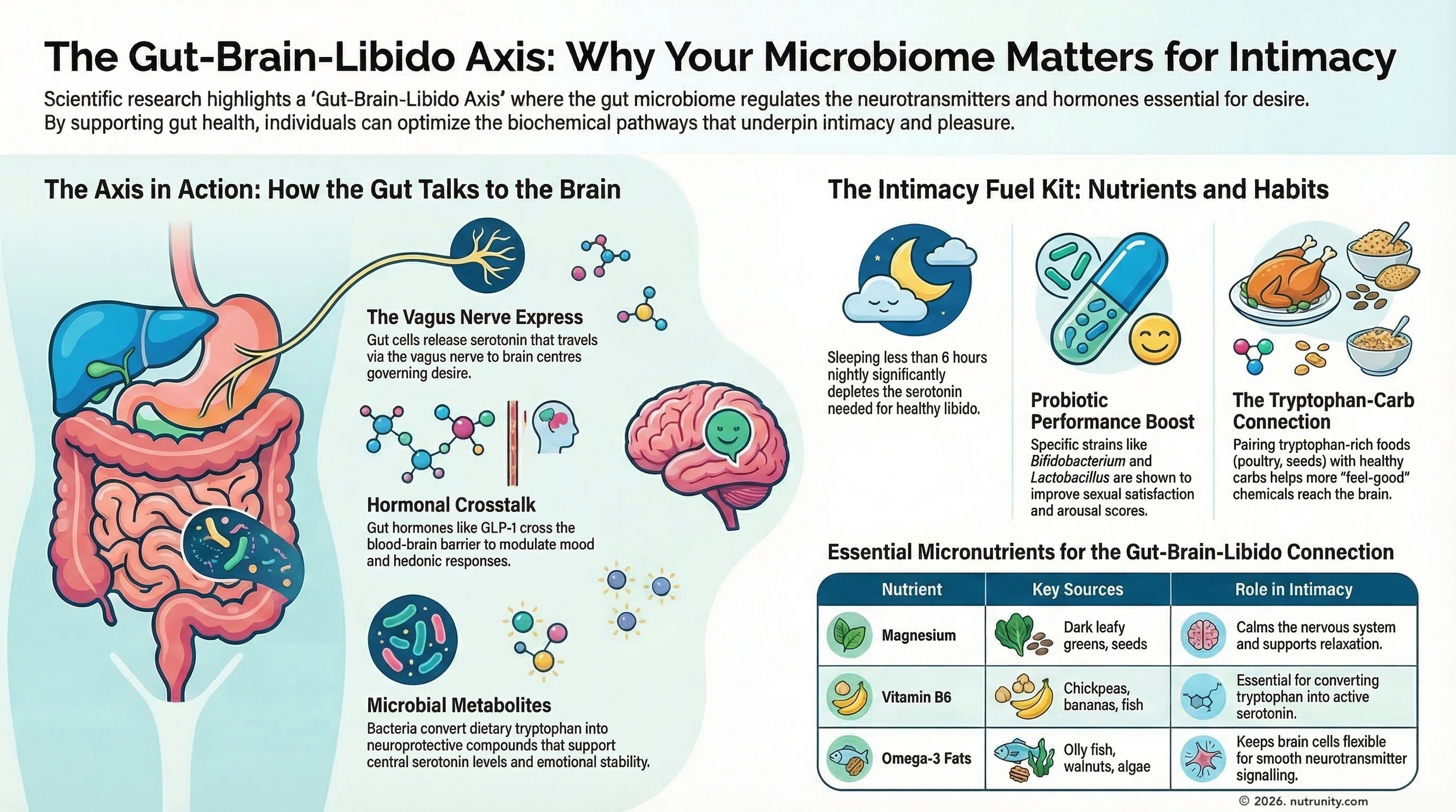 Gut-Brain-Libido Axis: The Role Of Serotonin, Probiotics And Key Nutrients In Intimacy
