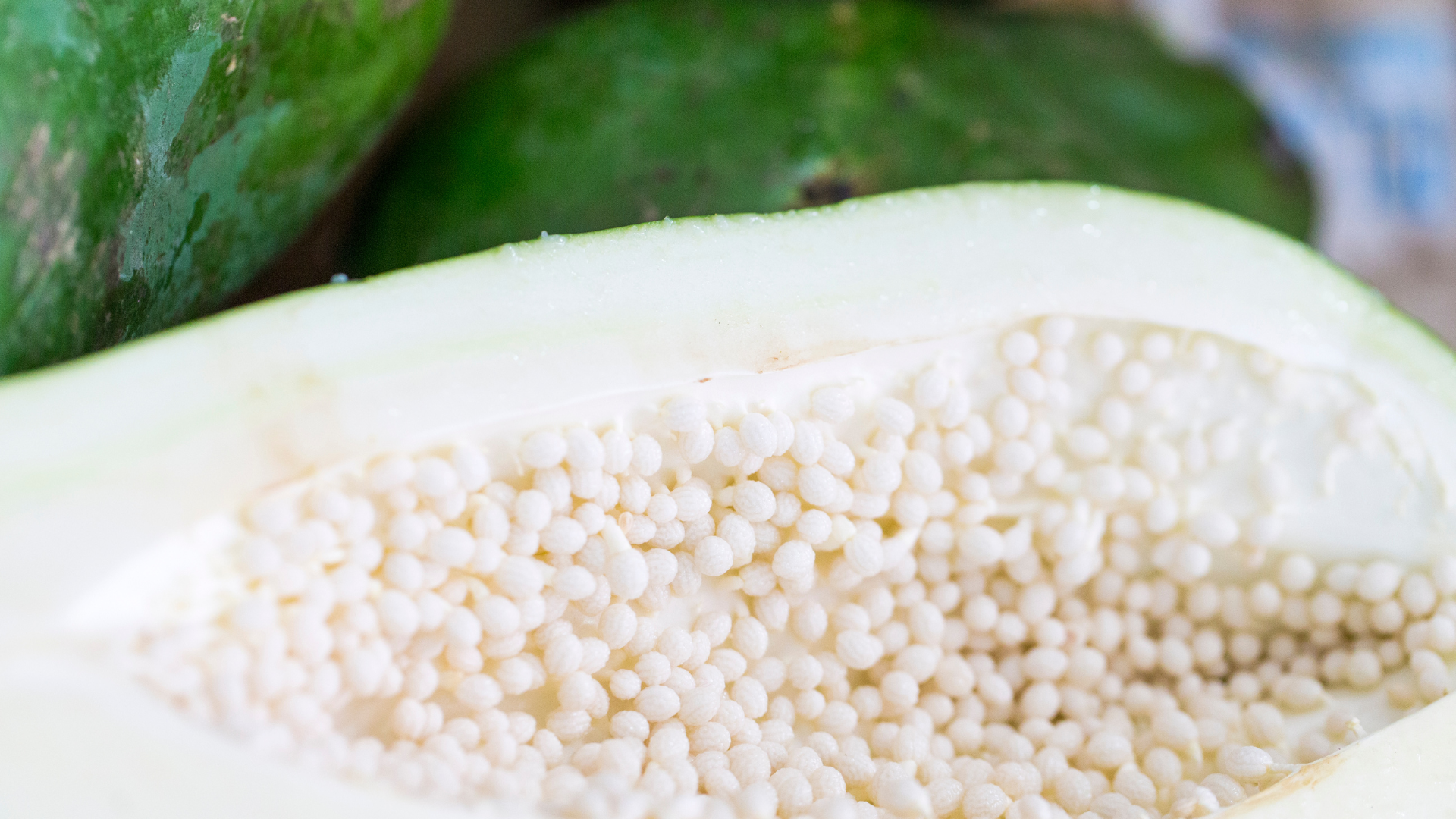 Fermented Green Papaya Enzyme: Benefits, Use and Considerations