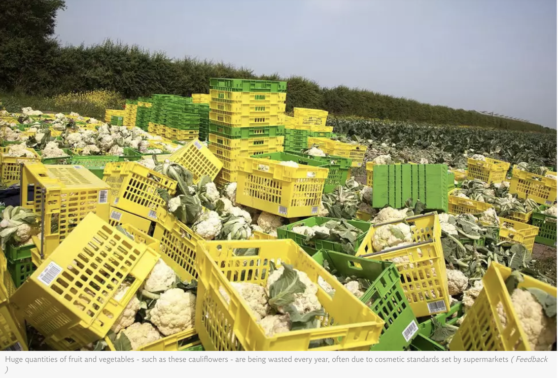 Top Tips to Reduce Food Waste — Nutrunity UK ⎪Naturopathic Nutrition