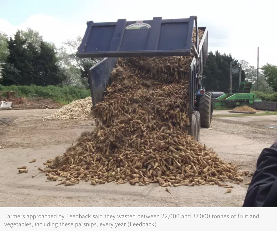 Top Tips to Reduce Food Waste — Nutrunity UK ⎪Naturopathic Nutrition