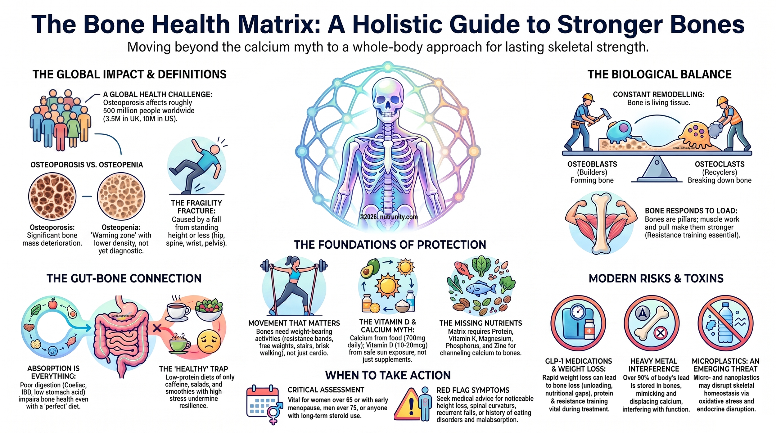Osteoporosis, Osteopenia and Fragility Fractures: What You Need to Know to Protect Your Bones