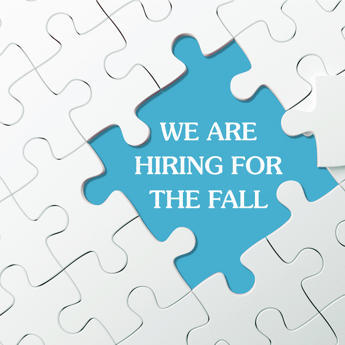 white puzzle with missing piece. The color behind is blue with white writing, saying "we are hiring"
