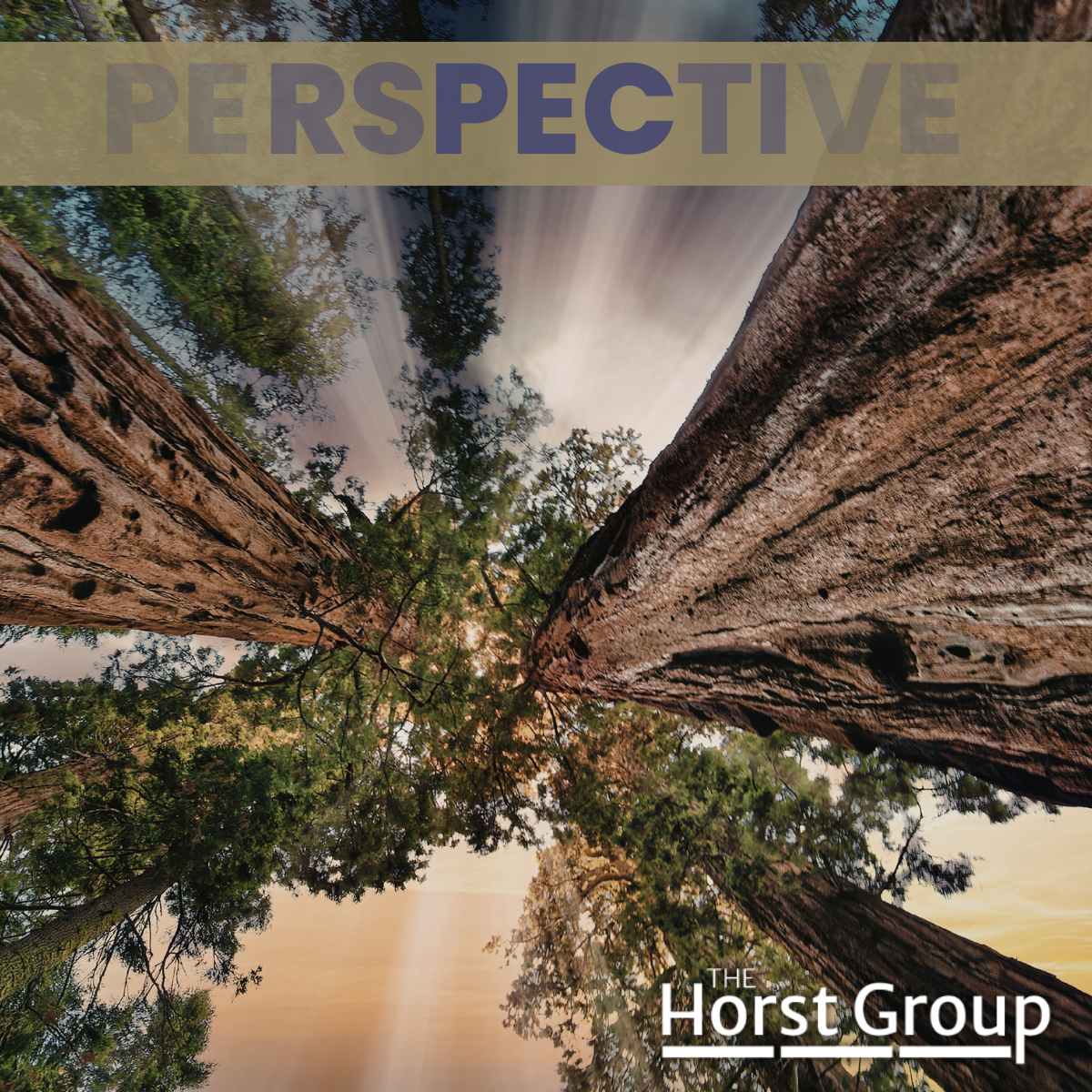 260305 Horst perspective (LinkedIn Post).png