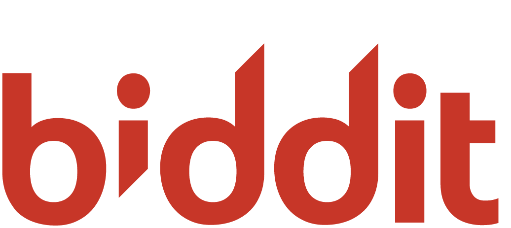Le mot 'biddit' en lettres rouges stylisées, avec des illustrations de graphiques ou de barres montantes en haut de chaque 'd'.