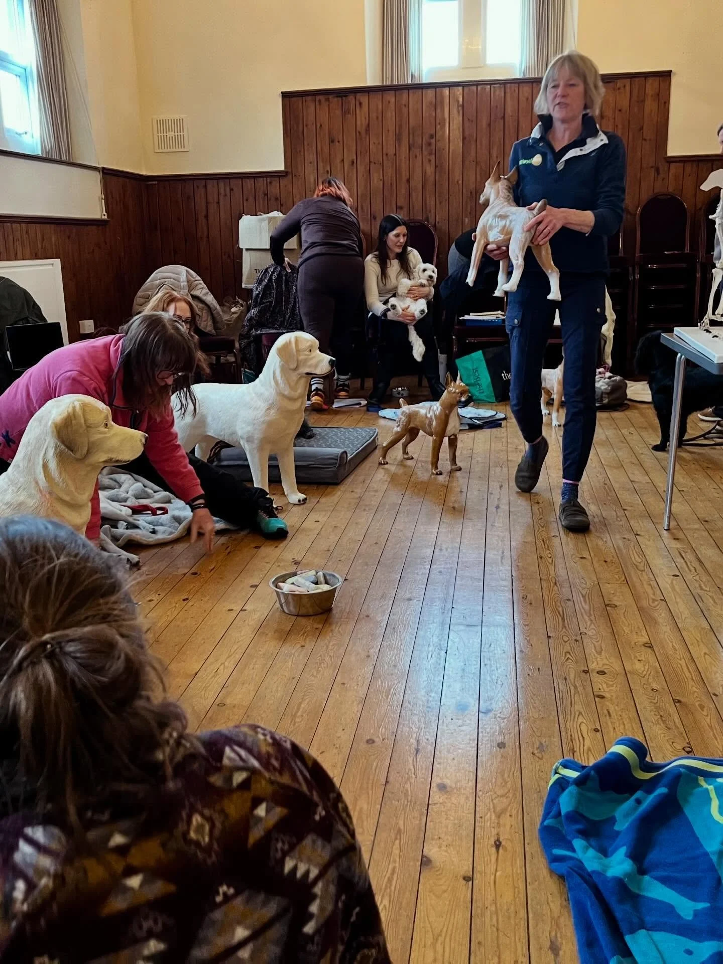 Fab day one of canine massage course with @animalphyz and lovely folks and dogs. Thanks to Charley for being my IRL demo dog (though not so keen on the slightly freaky plastic ones!! 😆)