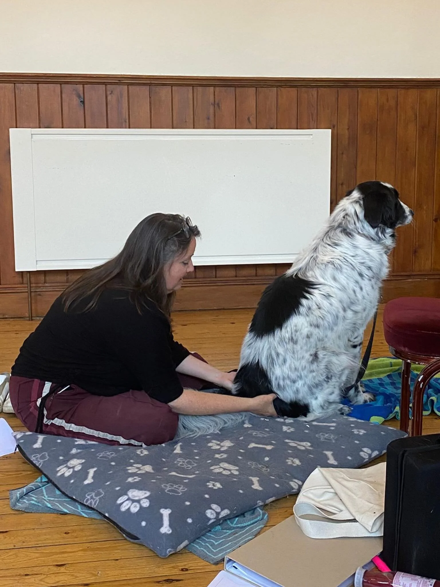 Canine Massage Course Part 2: When training meets Dr Who adventure...we were careful not to blink in front of the statue dogs! 😵&zwj;💫💆🏻&zwj;♀️🐾

#caninemassage #dogsofsomerset #drwho