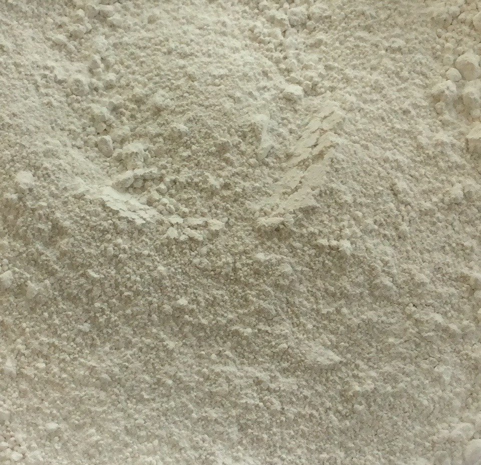 WHITE POWDER.jpeg