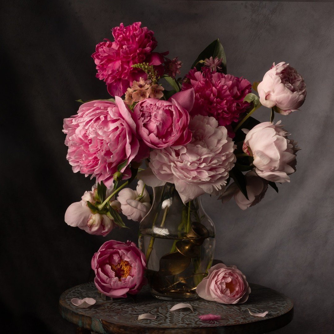 Peony Friday🌸 Have a lovely weekend! #peoniesaremyfavorite
.
.
.

#peony #peonylove #sonyalphafemale #westcottlighting #behance #floristsreview #flowersmakemehappy #madewithphotoshop #flowermagazine #flashpointlighting #inmygarden #flowerstagram #fl