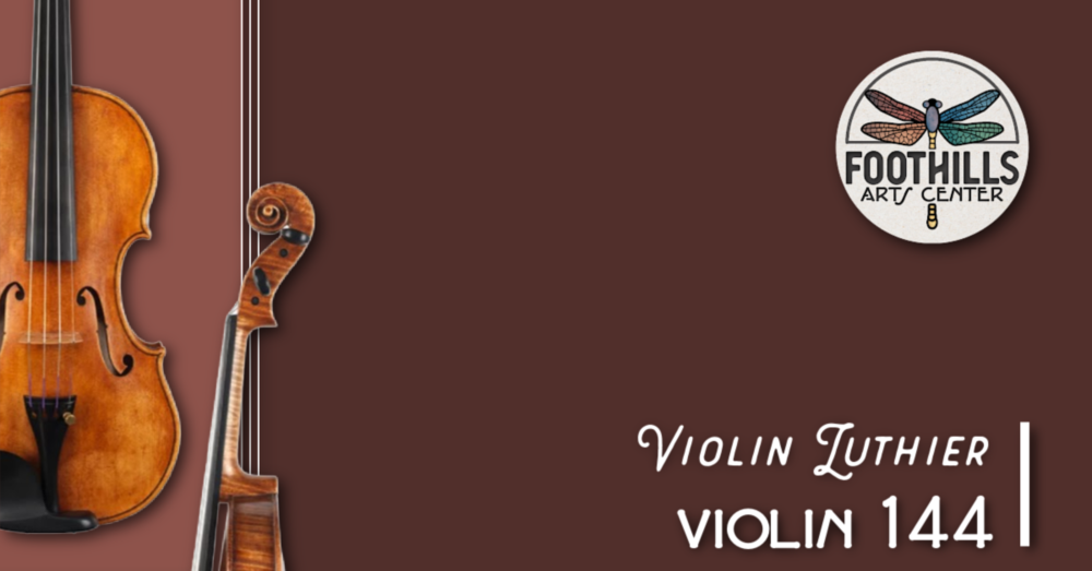 | violin 144 (8 hours per week)