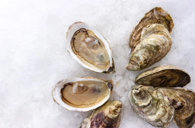 Pangea-Shellfish-Blish Point Oyster.jpg