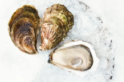 Peena Shellfish Pangea Shellfish