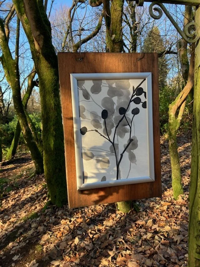 Shadows of leaves, grey and black on light background. woodland Tir na nog stirlingshire scotland