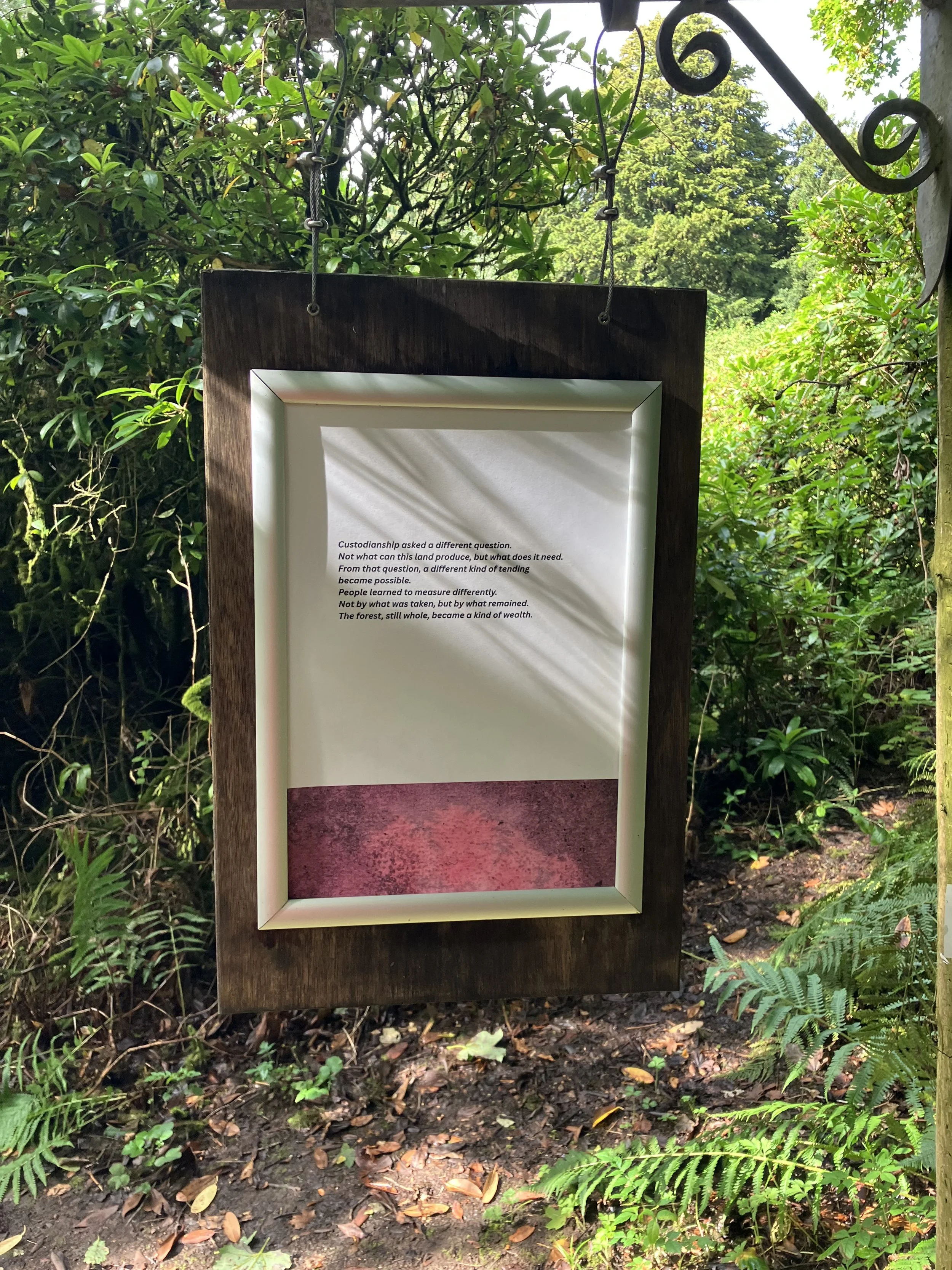 IMG_1056.jpeg