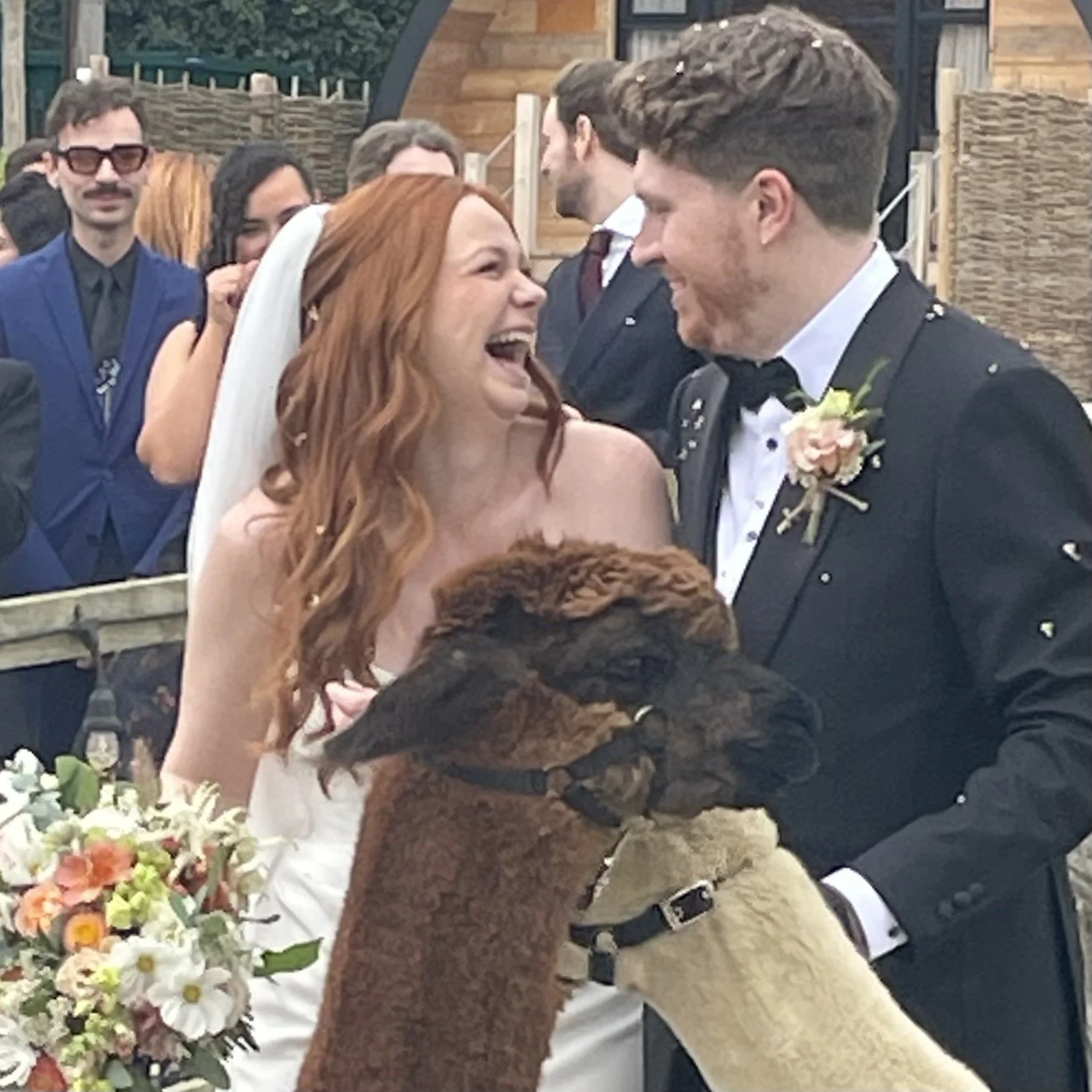 Connie and Phil at Silchester Farm

