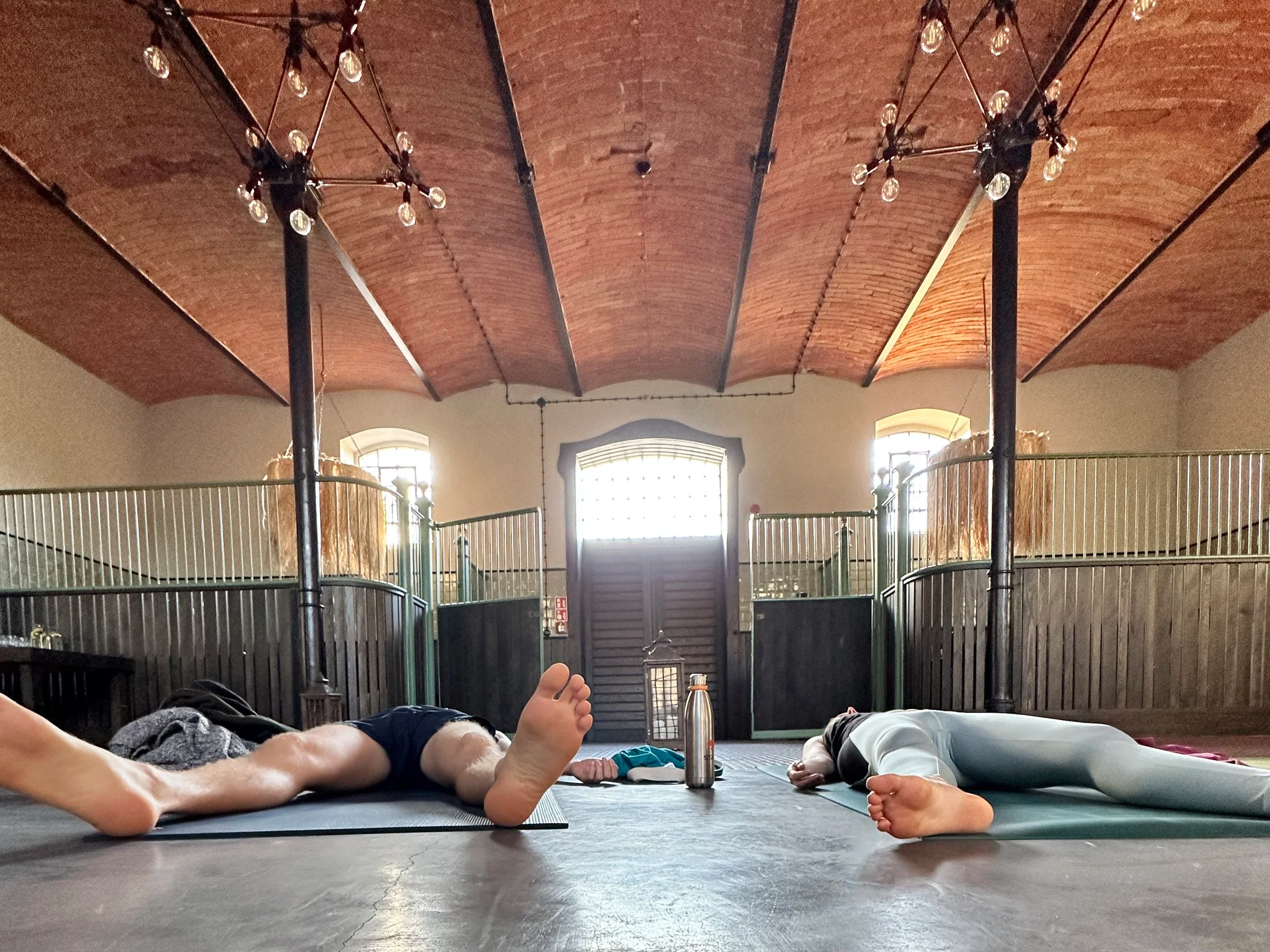 3-day Nervous System & Immune Boost Yoga Retreat with Mateusz Iwulski & Maria Birnbaum in Wąsowo Organic Farm near Poznań, Poland, The Weekend of 14. — 16. November 2025
