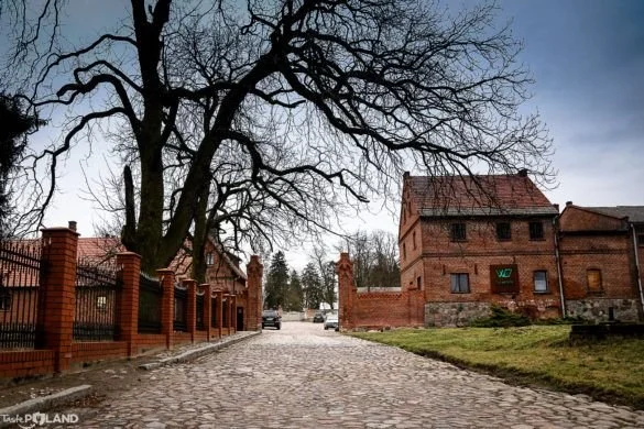 3-day Nervous System & Immune Boost Yoga Retreat with Mateusz Iwulski & Maria Birnbaum in Wąsowo Organic Farm near Poznań, Poland, The Weekend of 14. — 16. November 2025