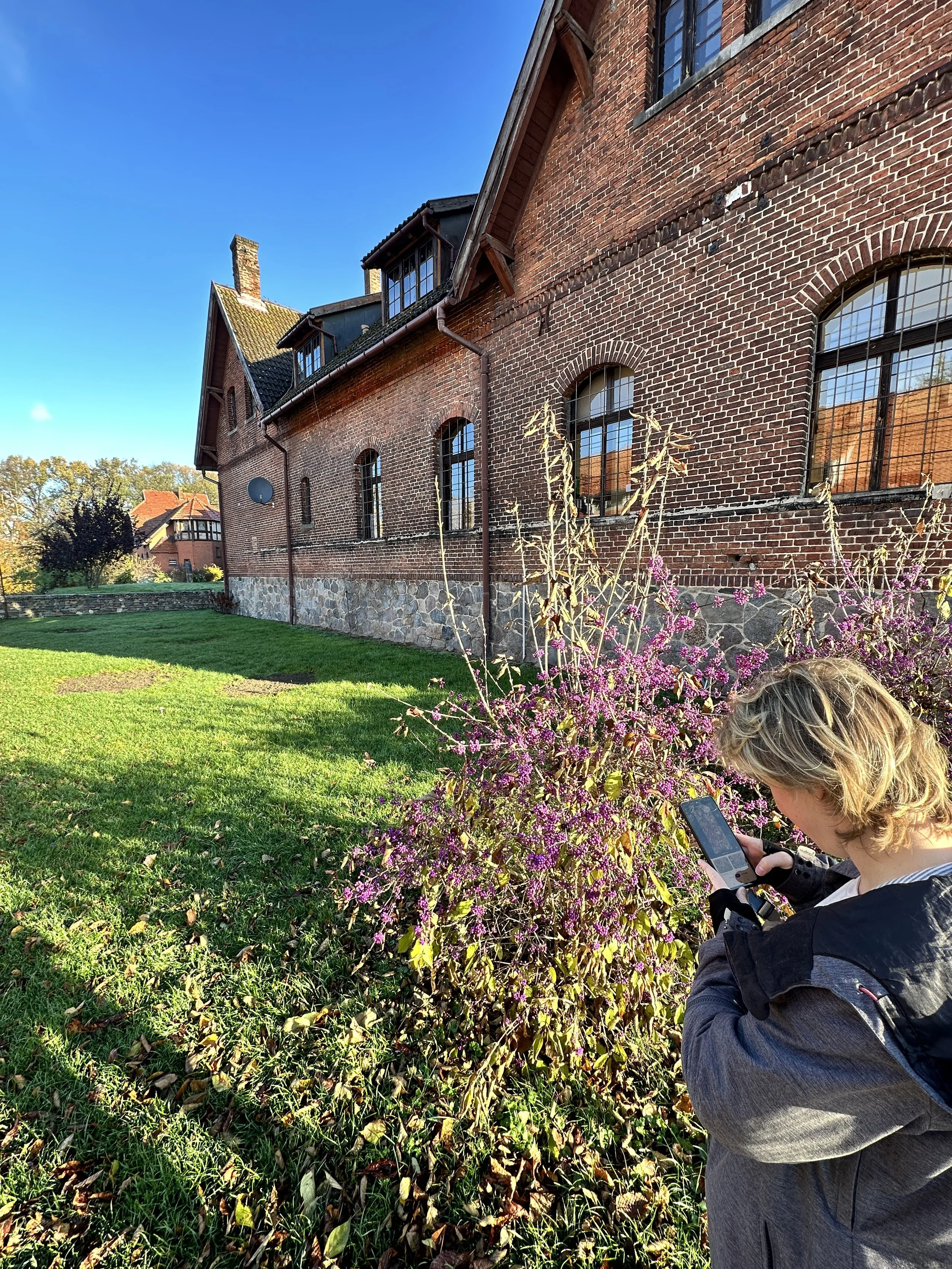 3-day Nervous System & Immune Boost Yoga Retreat with Mateusz Iwulski & Maria Birnbaum in Wąsowo Organic Farm near Poznań, Poland, The Weekend of 14. — 16. November 2025
