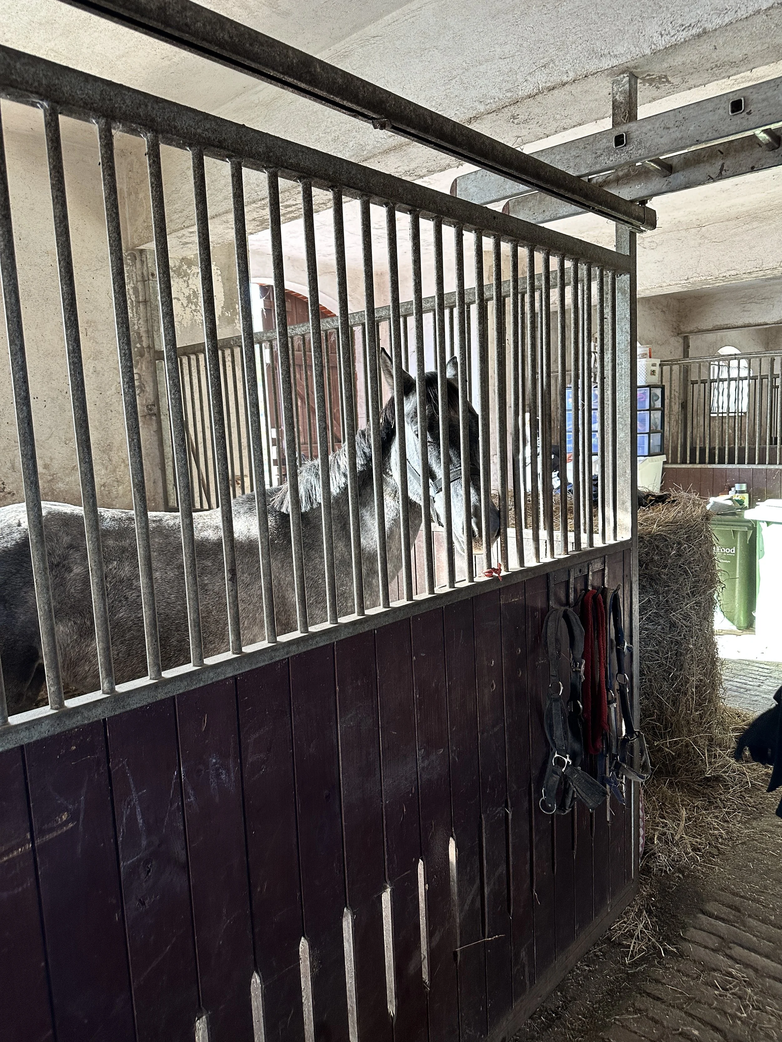 3-day Nervous System & Immune Boost Yoga Retreat with Mateusz Iwulski & Maria Birnbaum in Wąsowo Organic Farm near Poznań, Poland, The Weekend of 14. — 16. November 2025