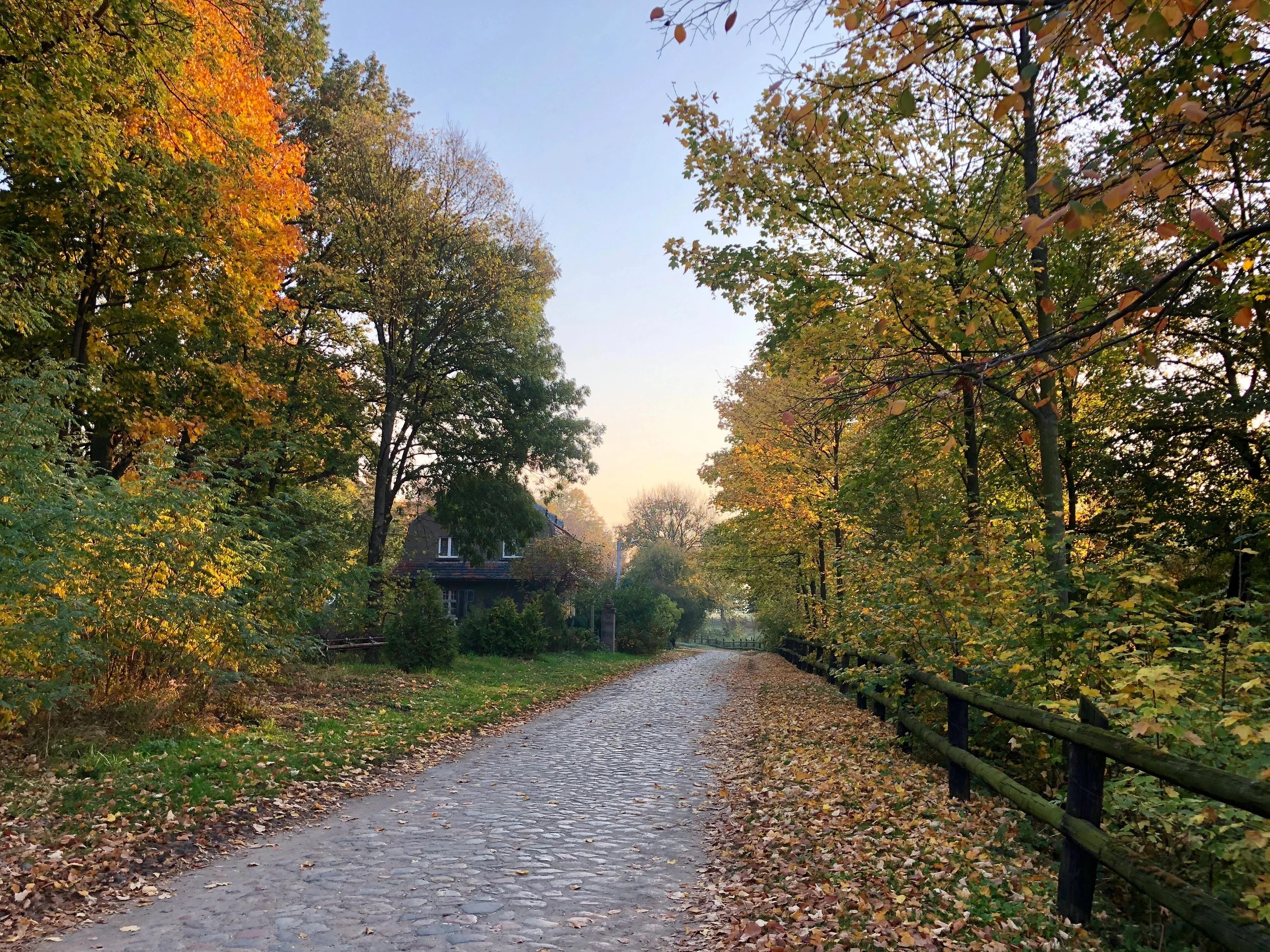 November Retreat in Poland near Poznan, 3-day Nervous System & Immune Boost Yoga Retreat with Mateusz Iwulski & Maria Birnbaum in Wąsowo Organic Farm near Poznań, Poland, The Weekend of 14. — 16. November 2025