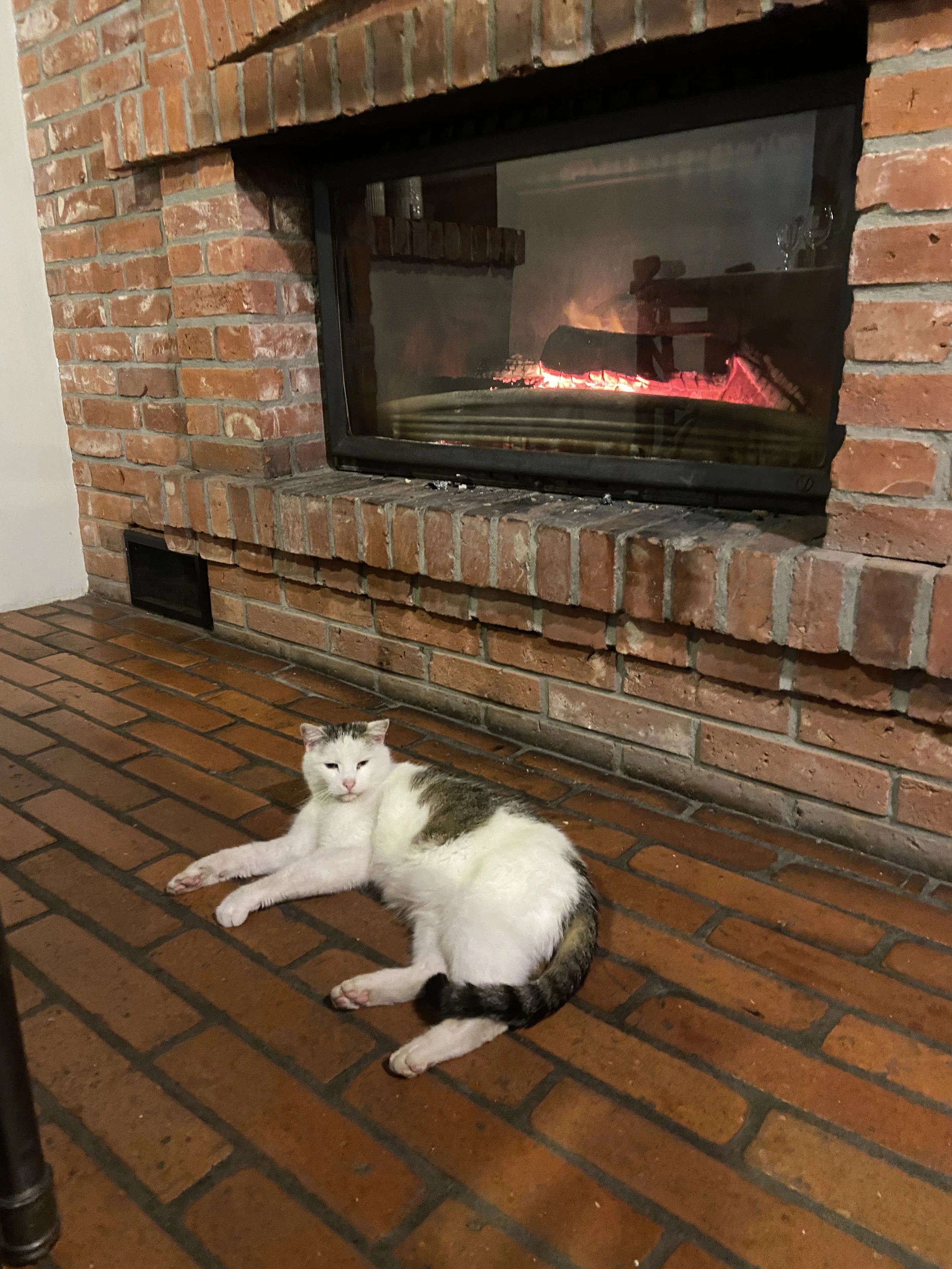 3-day Nervous System & Immune Boost Yoga Retreat with Mateusz Iwulski & Maria Birnbaum in Wąsowo Organic Farm near Poznań, Poland, The Weekend of 14. — 16. November 2025