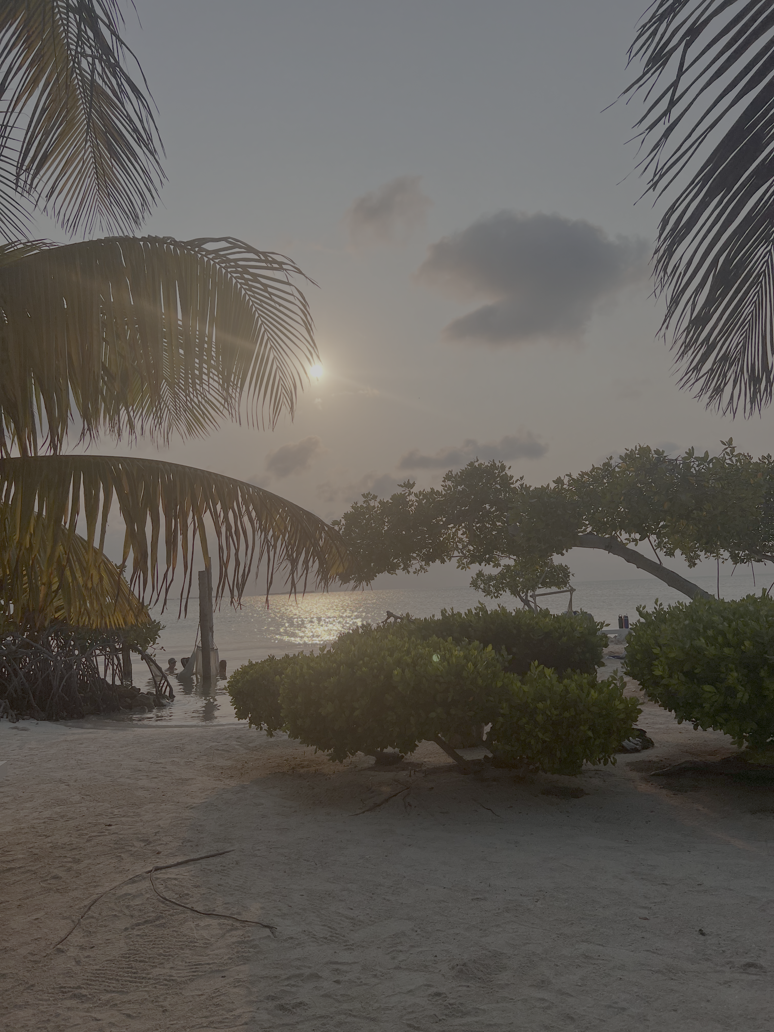 Reasoning as Relation: Opening Saltwater Reasonings with Yentyl Williams