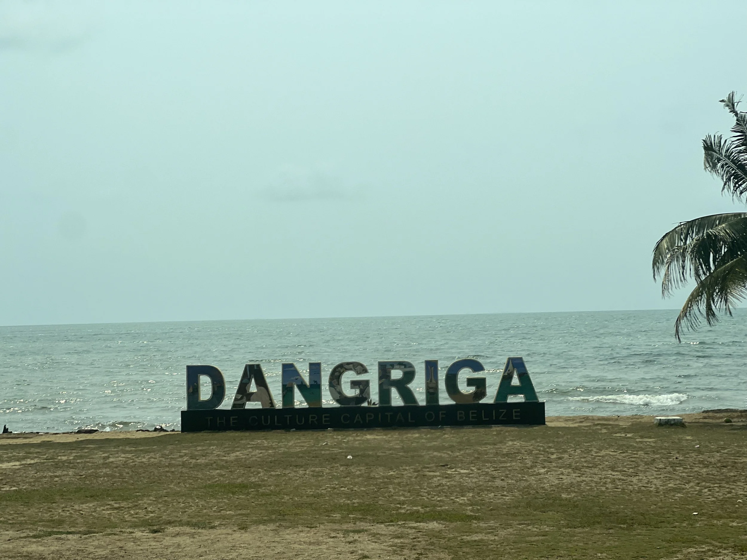 Reasoning as Relation: Opening Saltwater Reasonings with Yentyl Williams