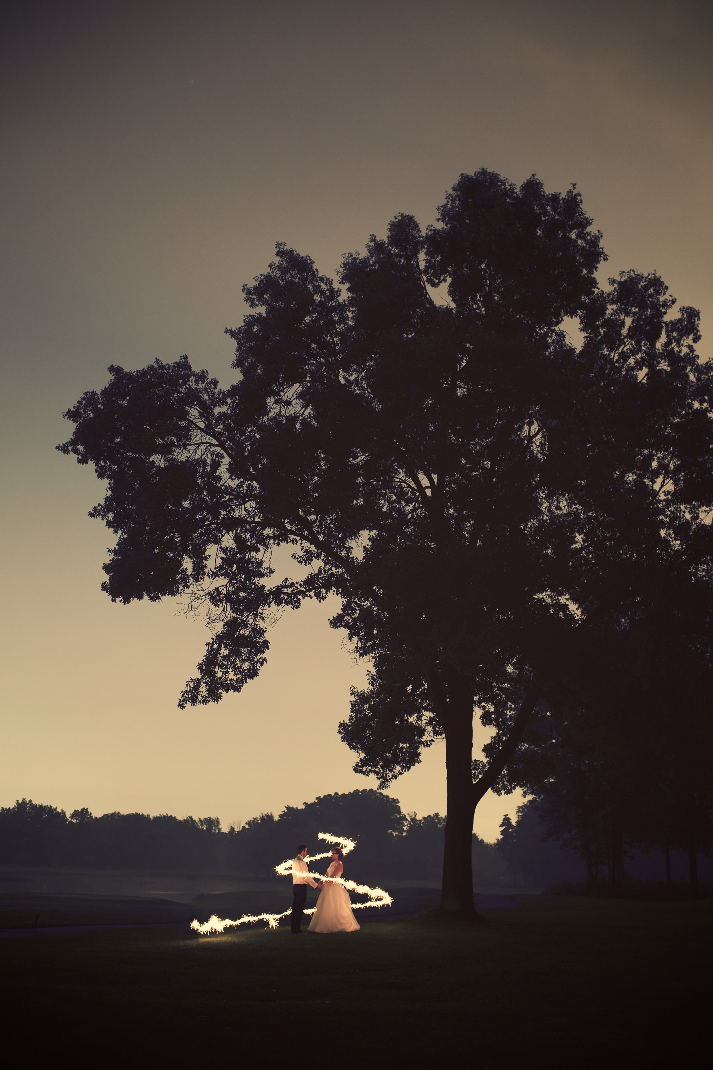 dusk long exposure sparkler spiral tall tree