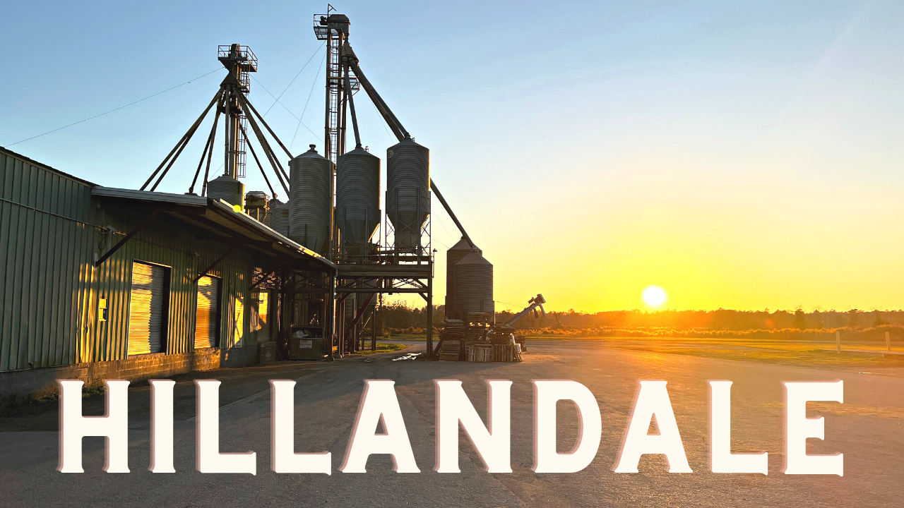 Hillandale Quality Feeds