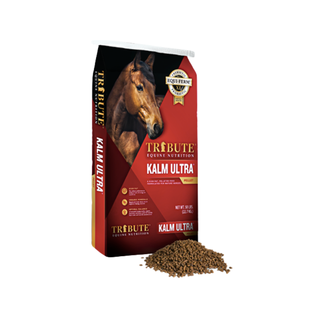 Tribute Horse Feed — Hillandale Quality Feeds
