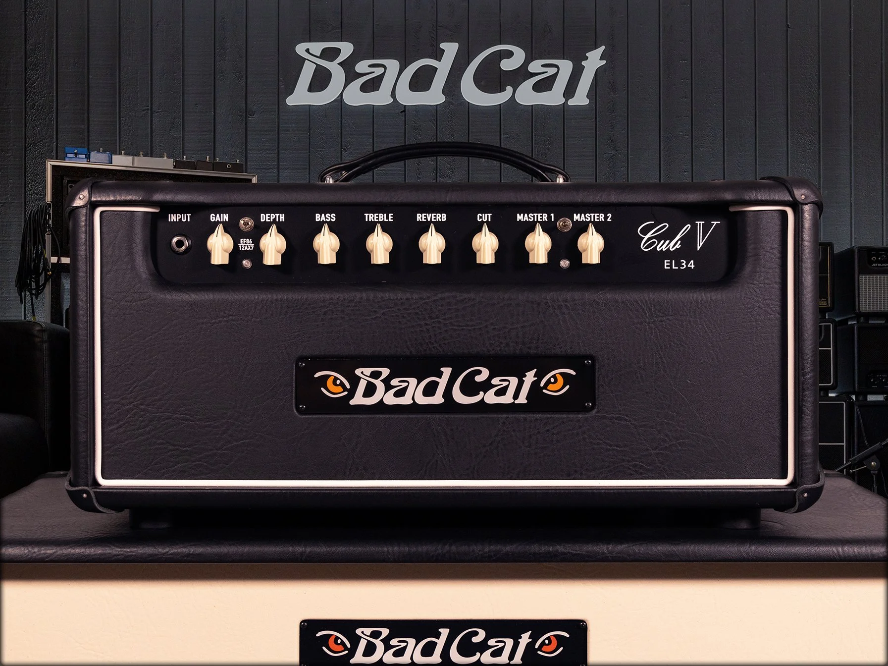 Bad Cat Cub V EL34.jpg