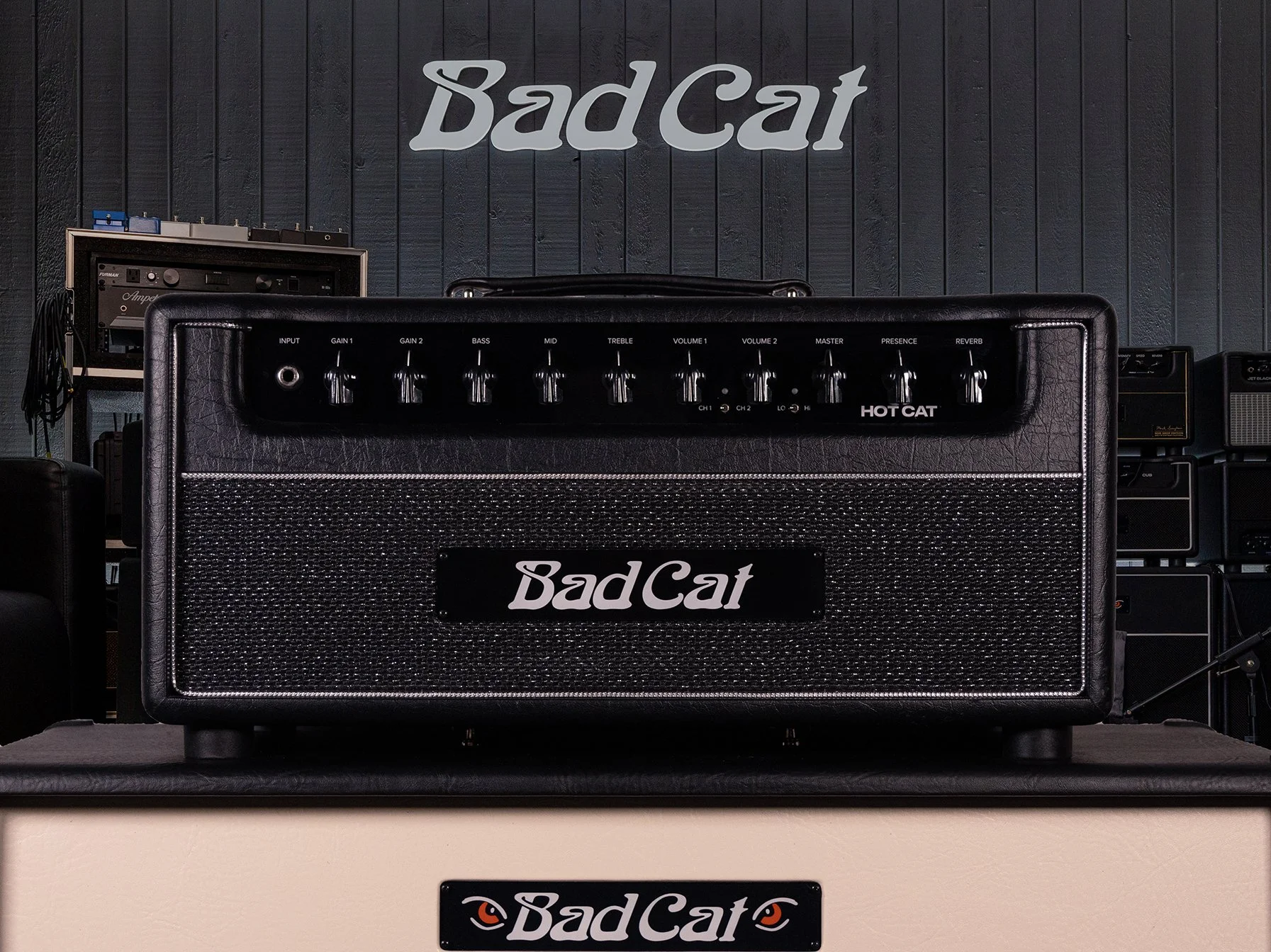 Bad Cat Hot Cat.jpg