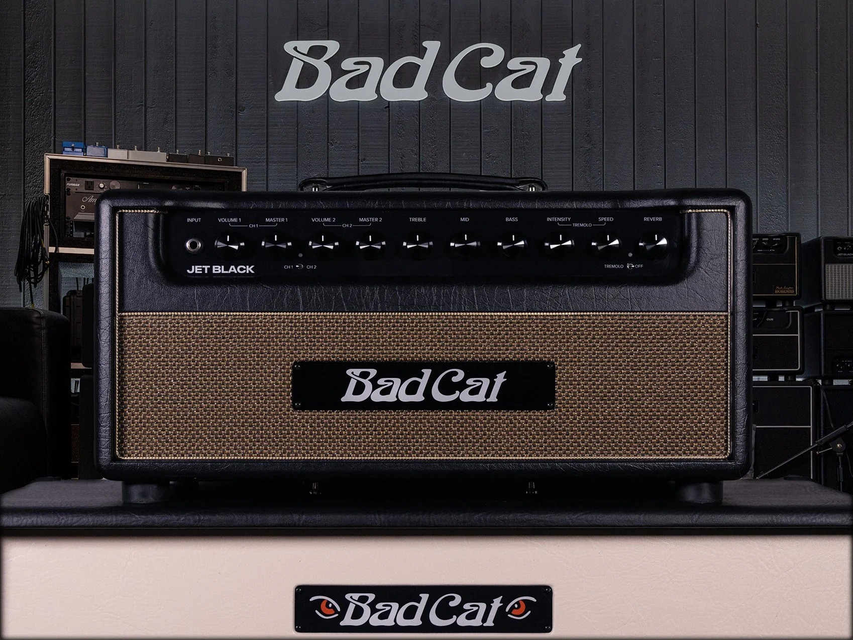 Bad Cat Jet Black.jpg