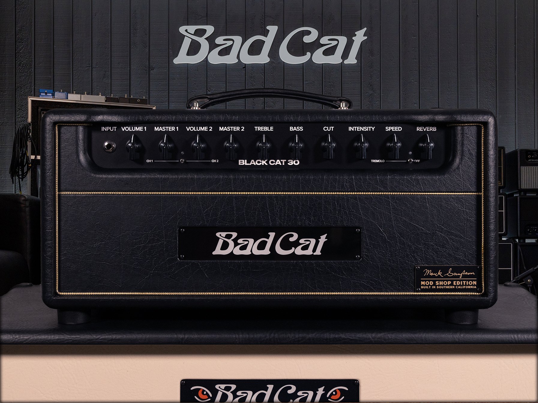 Bad Cat Black Cat 30 MS Mod Shop.jpg (Copy)