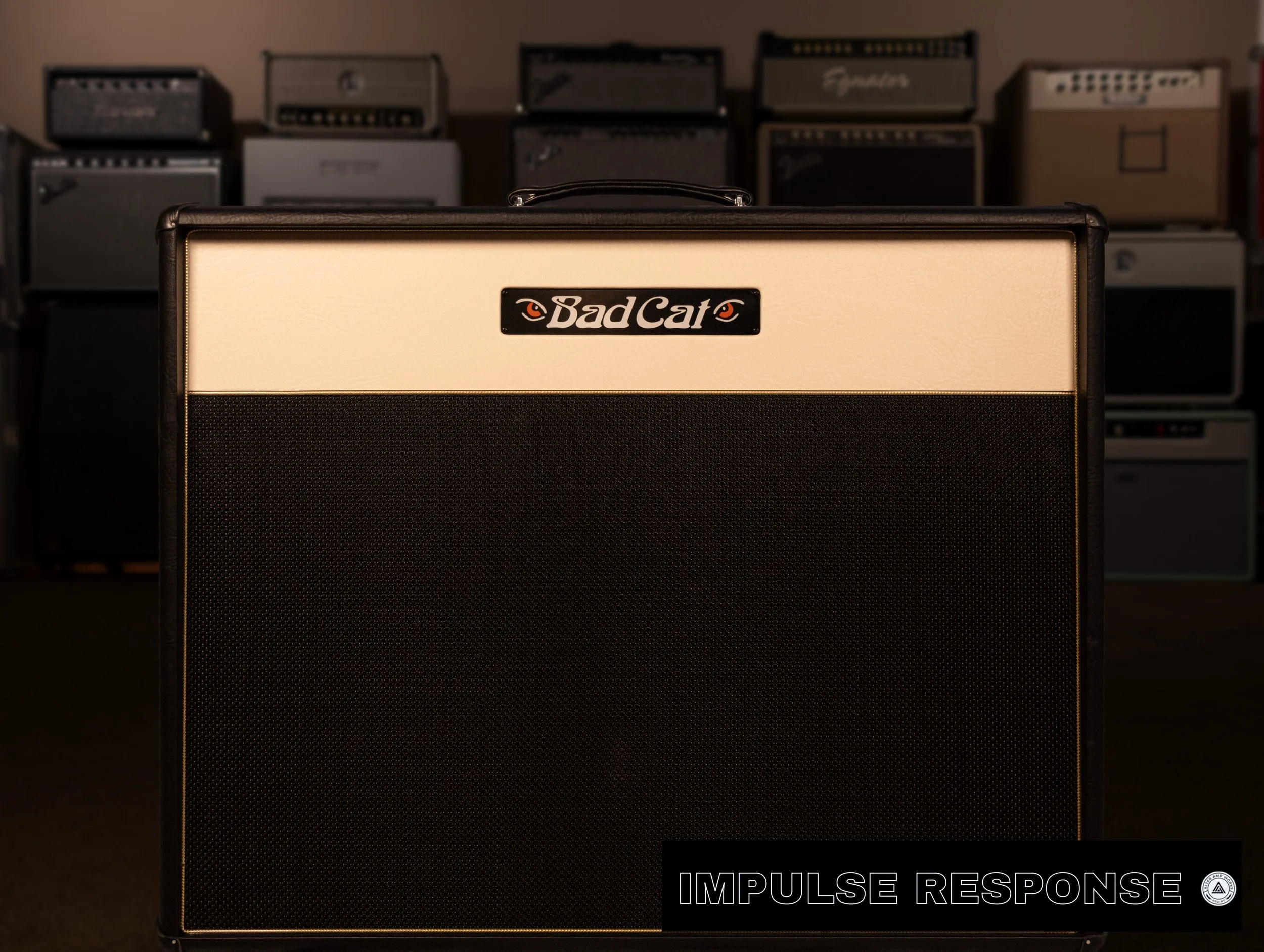 Bad Cat ERA 212.JPEG