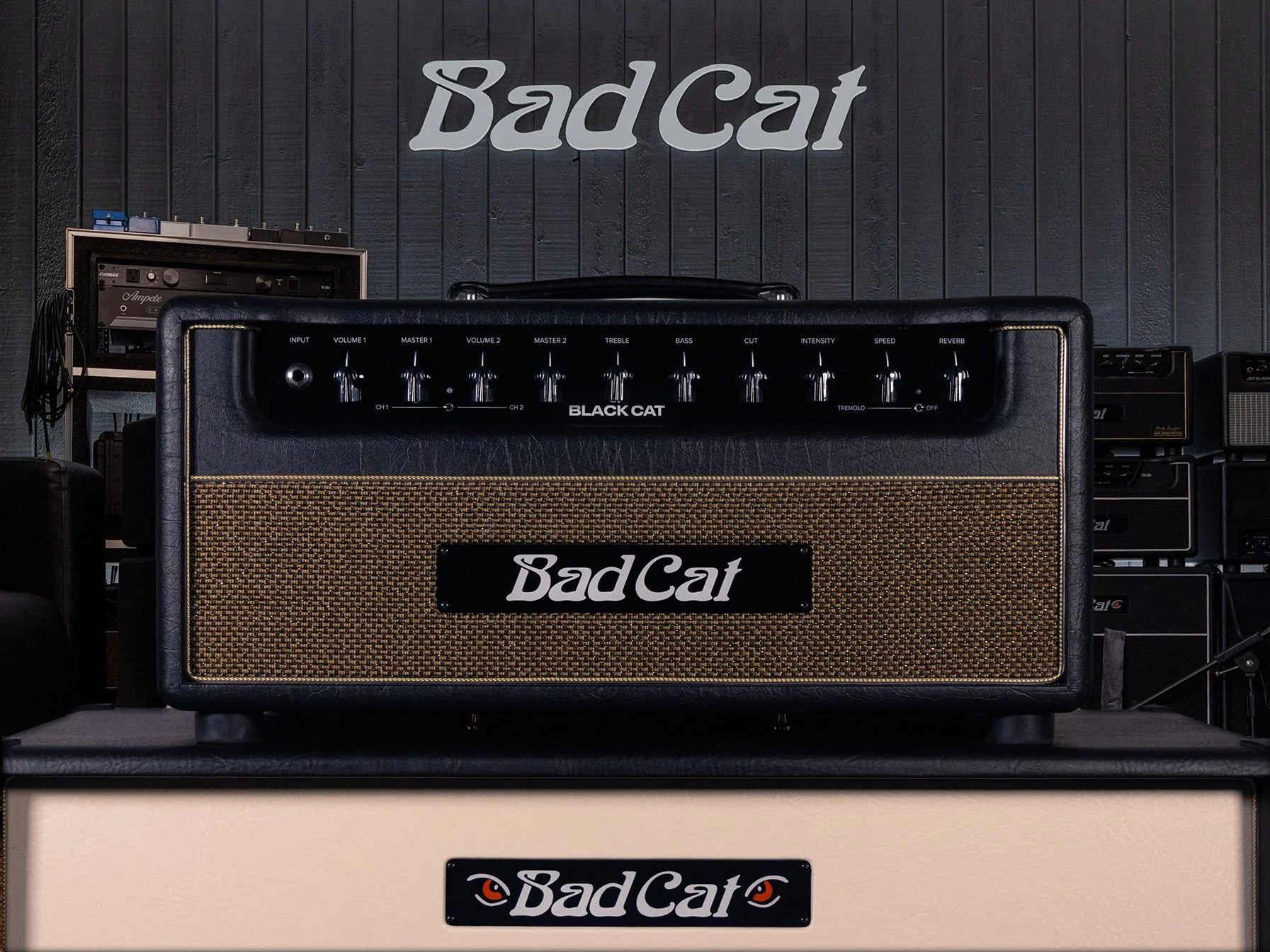 Bad Cat Black Cat.jpg