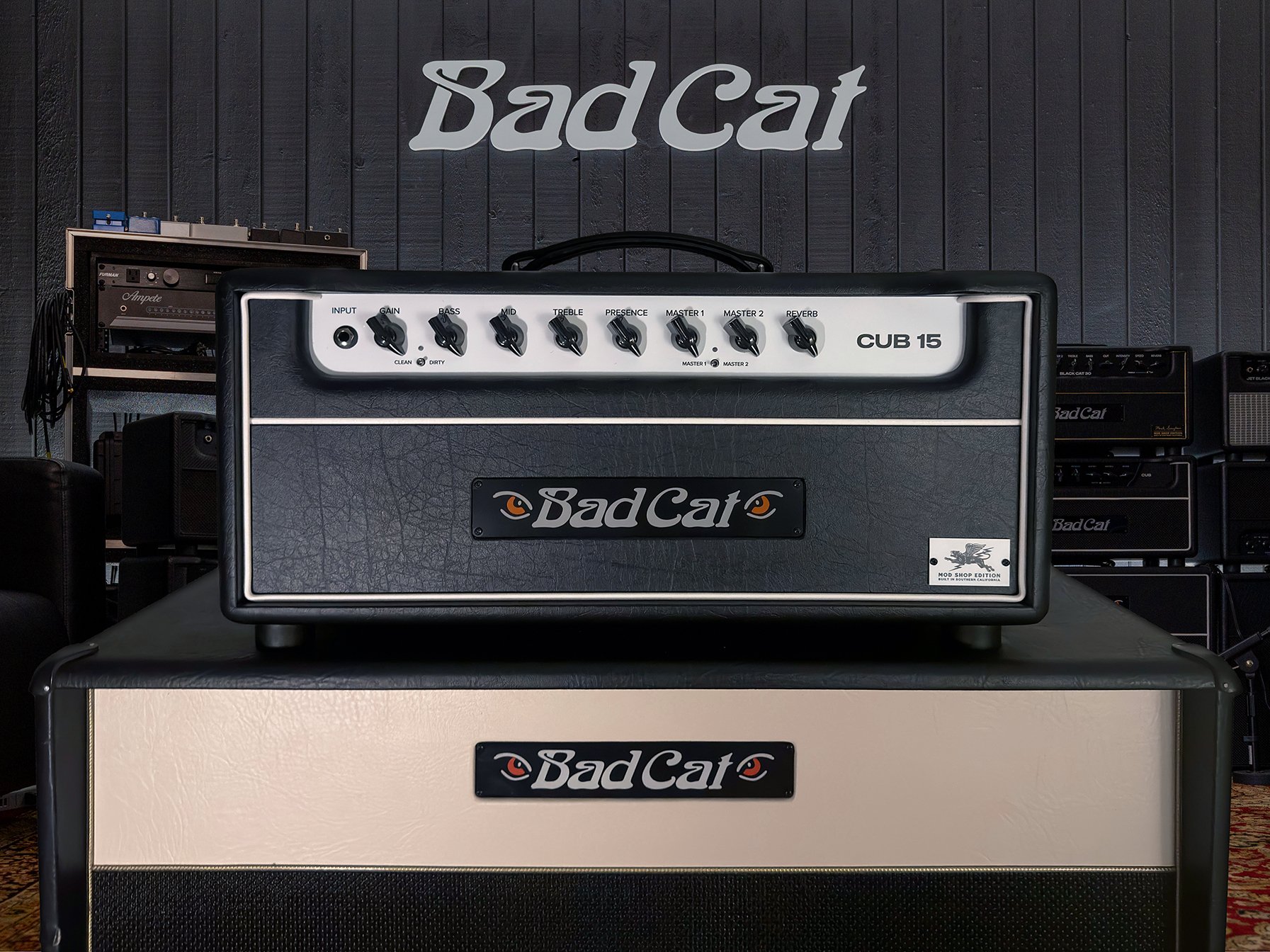 Bad Cat Cub 15 MS.jpg