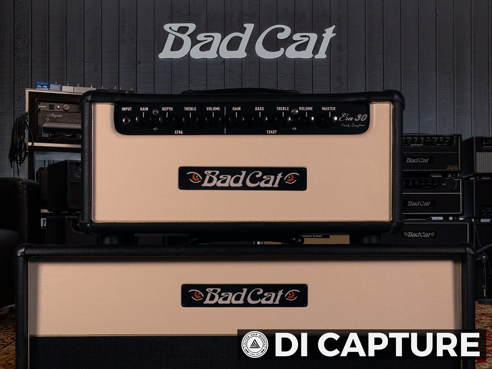 Bad Cat ERA30 DI 3.jpeg