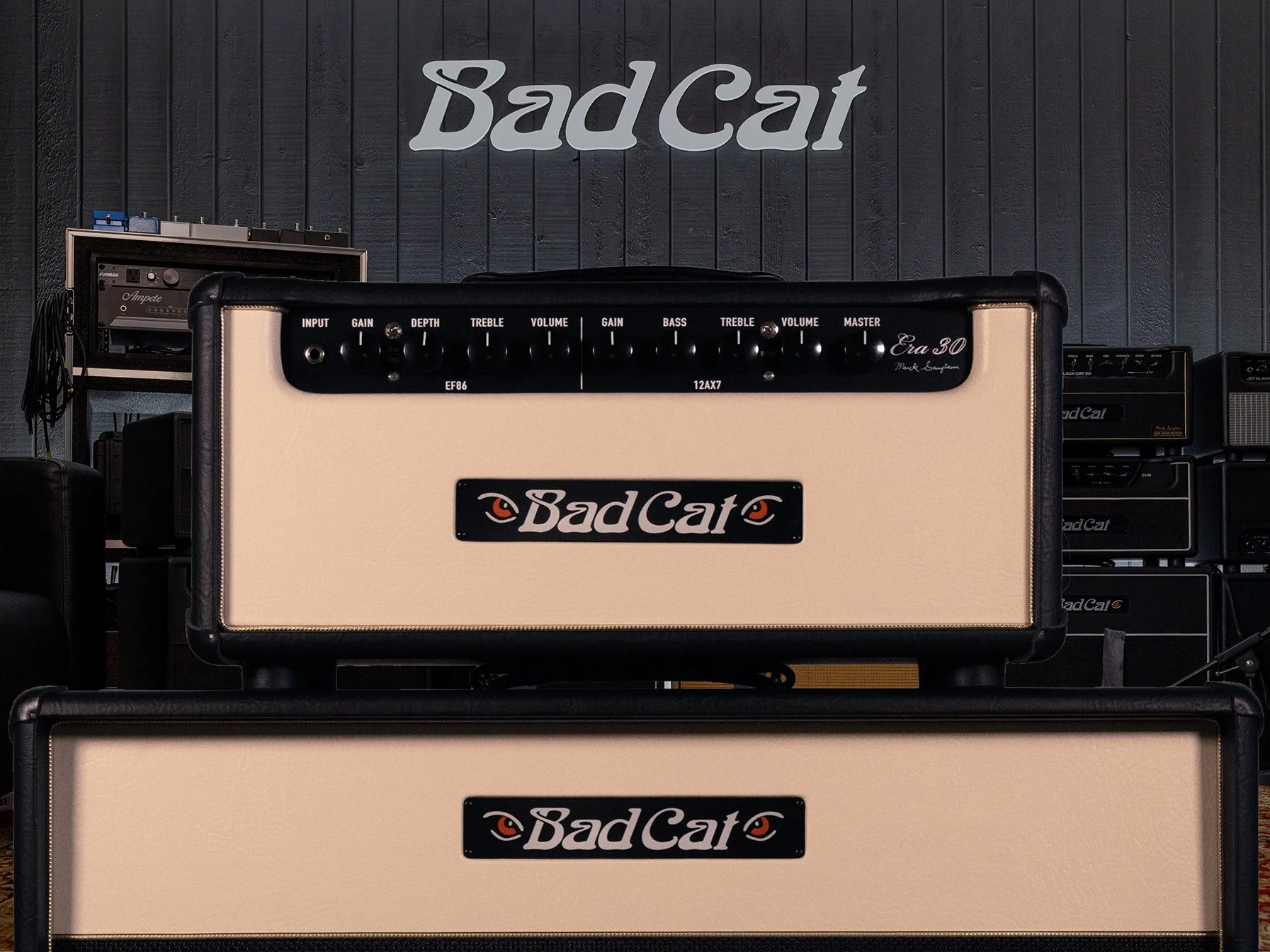 Bad Cat ERA30.jpg