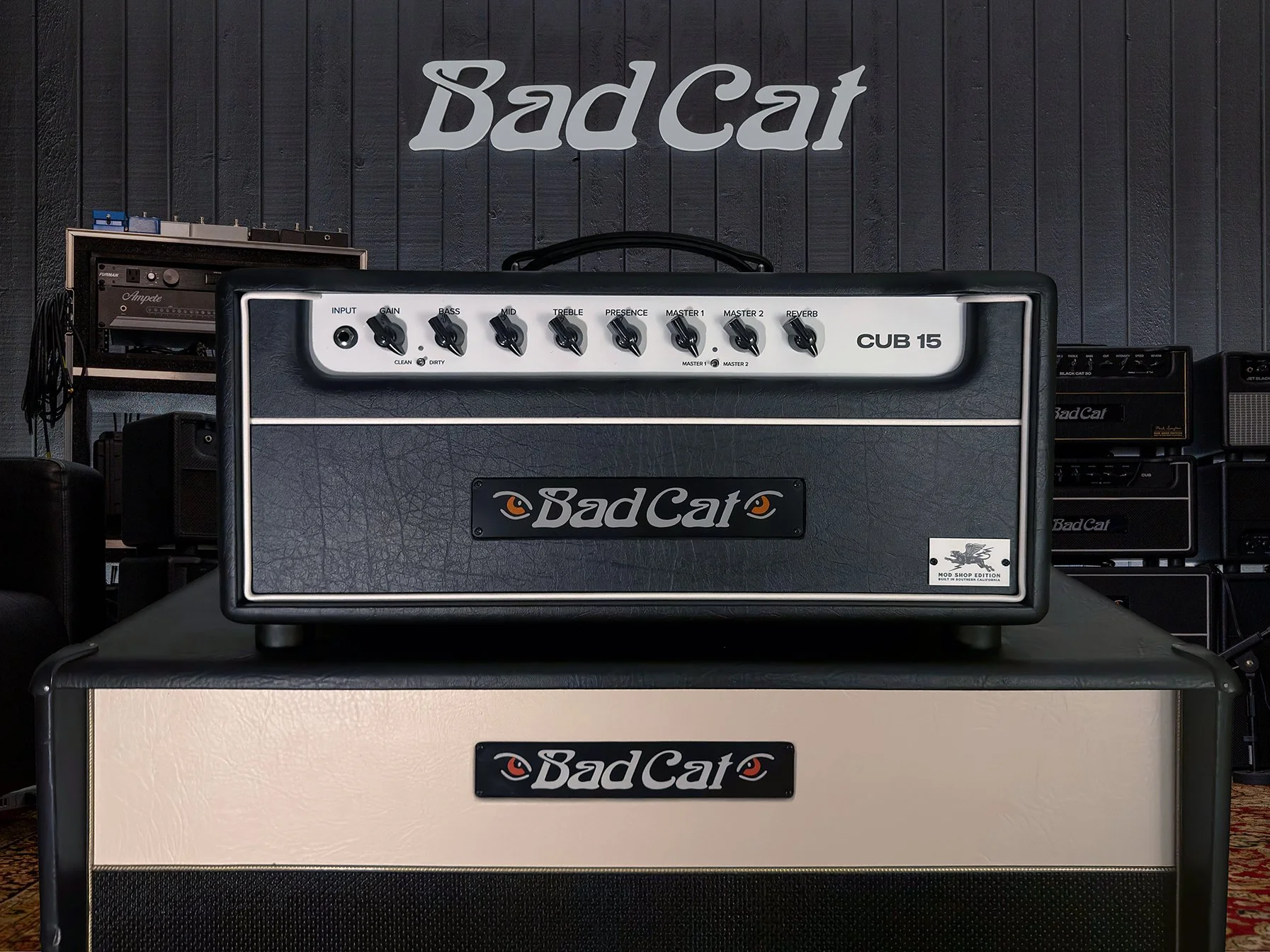 Bad Cat Cub 15 MS.jpg (Copy)