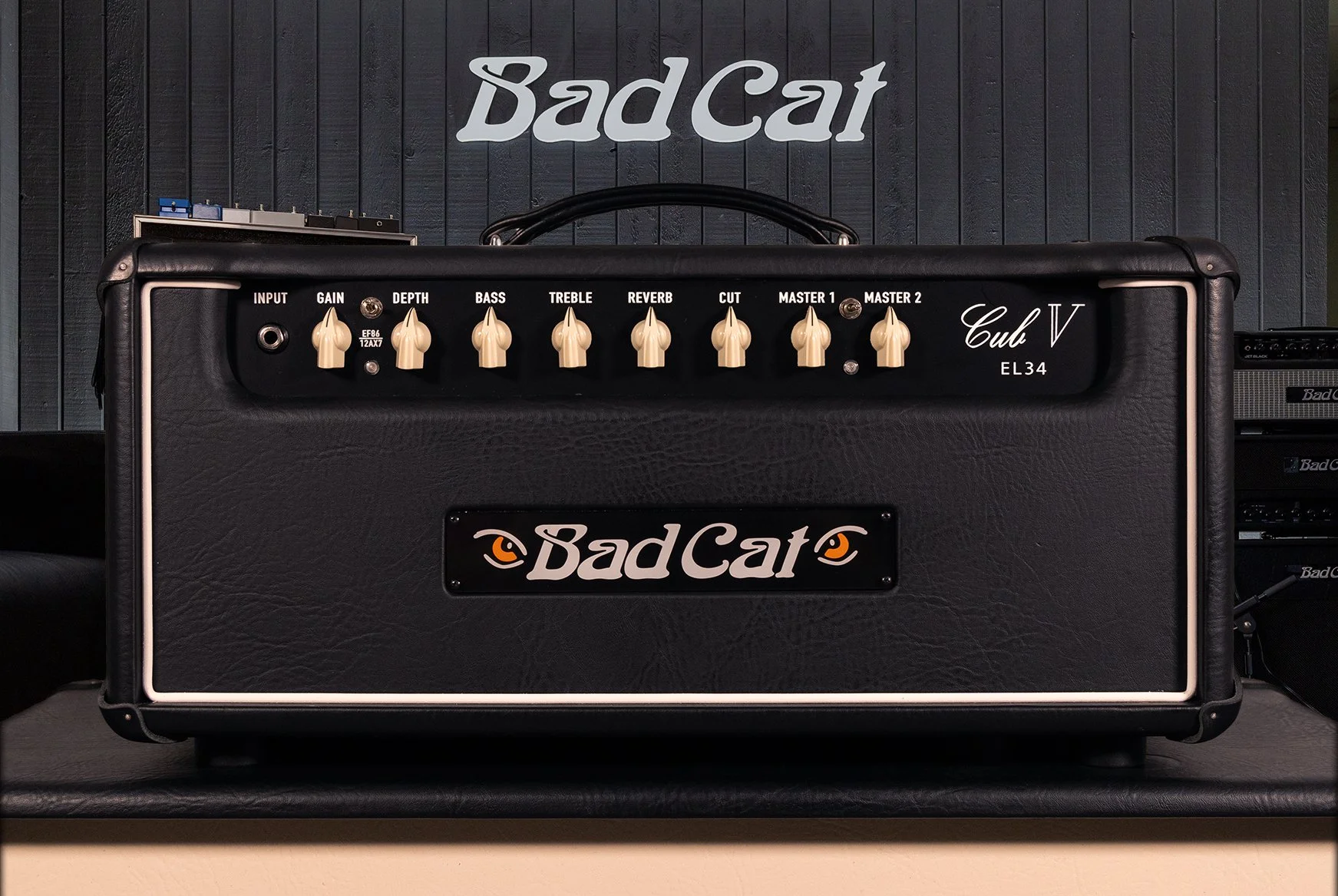 Bad Cat Cub V EL34.jpg