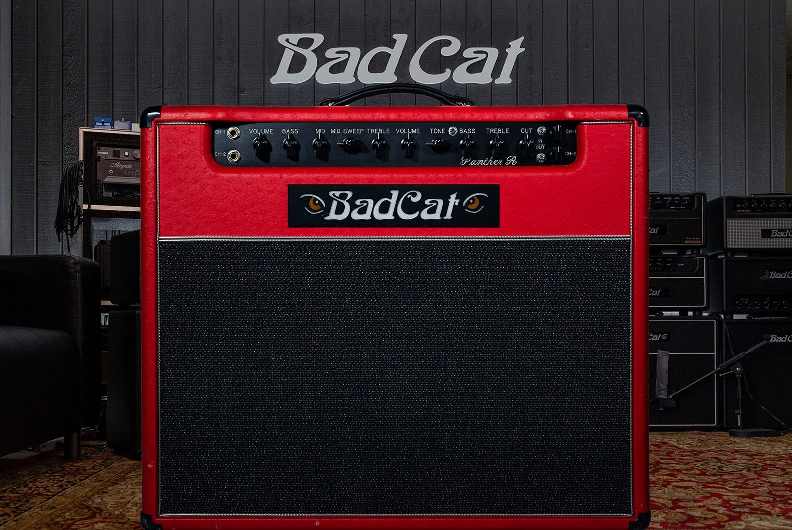 Bad Cat Panther.JPEG (Copy)