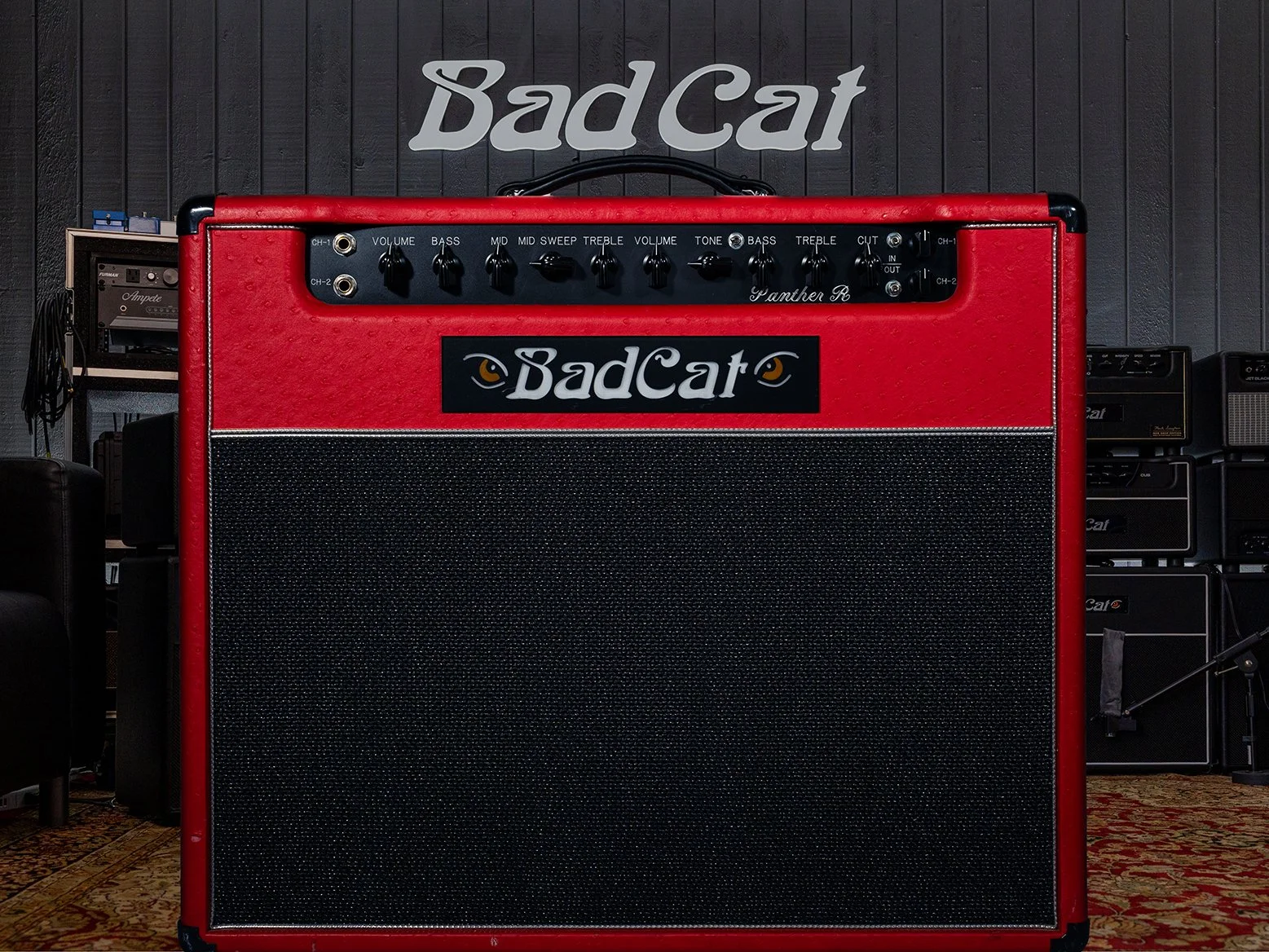 Bad Cat Panther.jpg