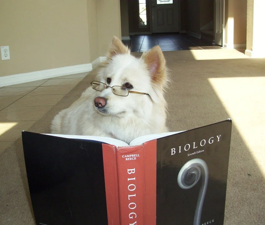 Measuring Company Culture